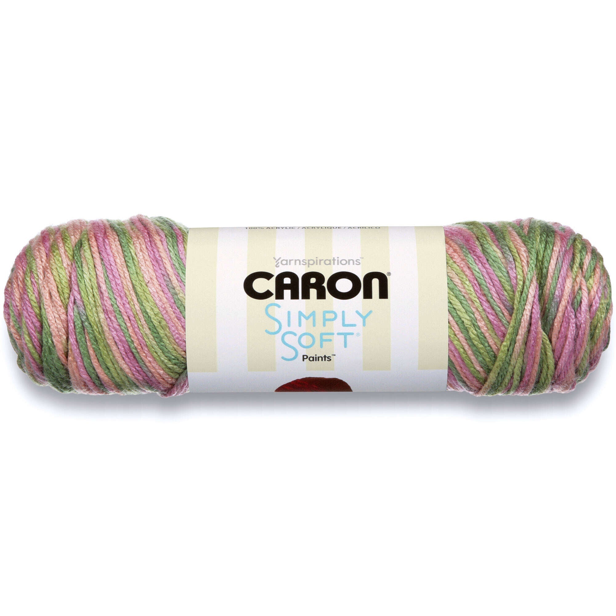Simply Soft Paints Yarn
