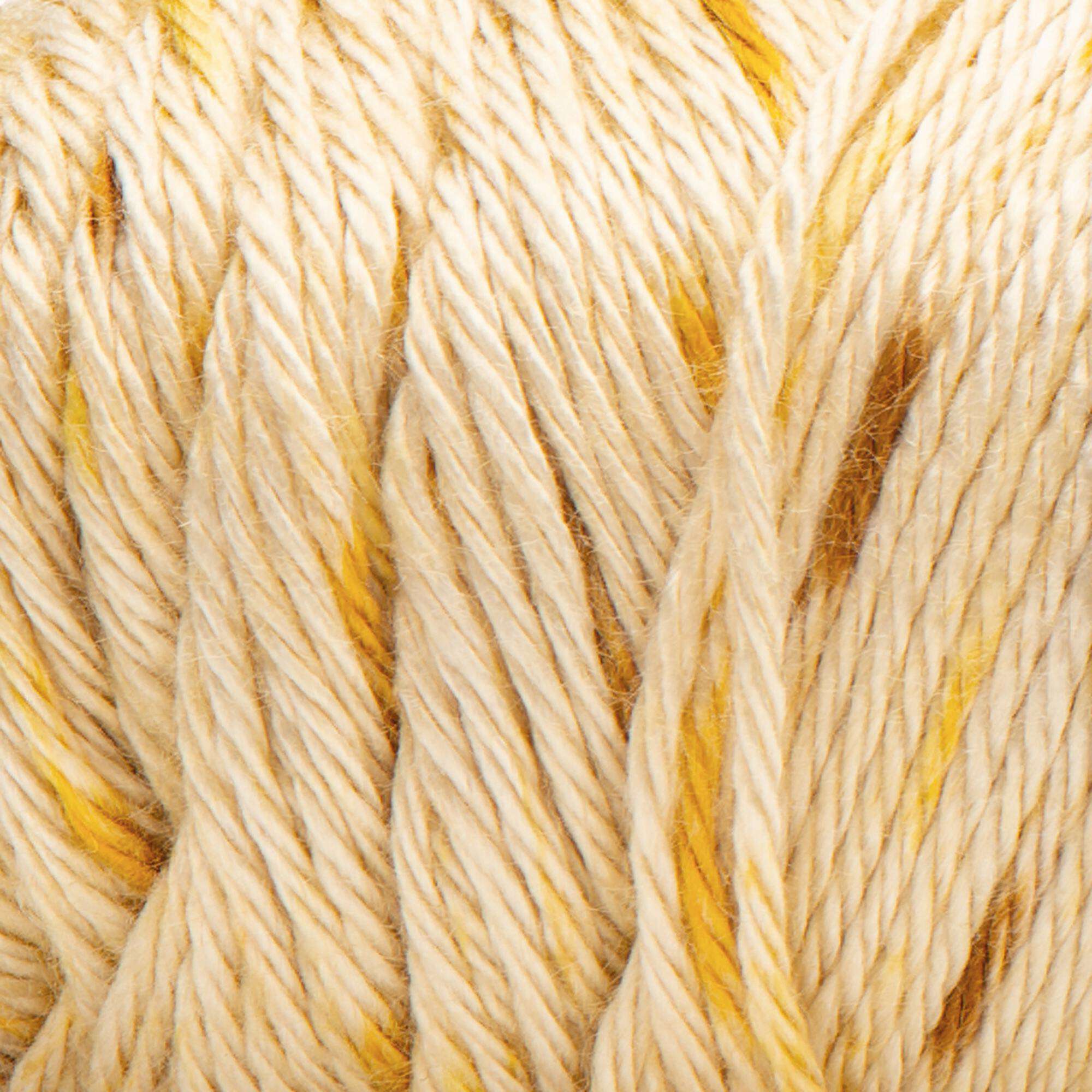 Simply Soft Speckle Yarn